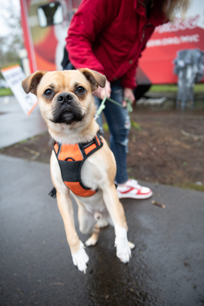 Project Homeless Connect in Clark County, WA hosted by Council for the Homeless 2026