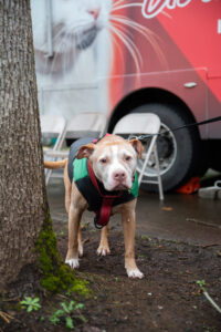 Project Homeless Connect in Clark County, WA hosted by Council for the Homeless 2026